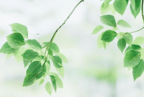 撩人英文短句 表白说说英语朋友圈