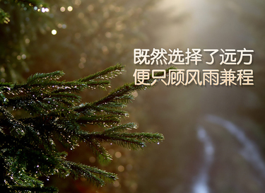 情人节502胶水说说 祝福前男友情人节快乐文案