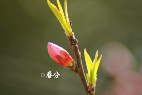 3月15消费者权益日的说说 国际消费者权益日祝福