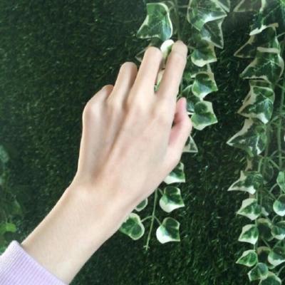 风雨兼程,就是为了遇见 3月你好唯美句子