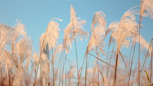 宝贝长宝贝短宝贝单身你不管节日说说