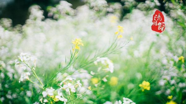 春节收红包的心情说说 春节唯独少了你的说说