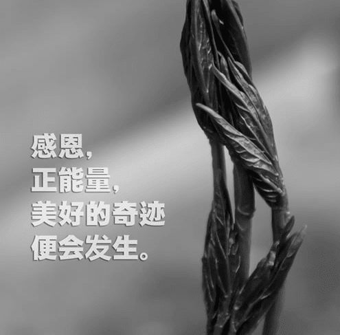 过小年英文说说