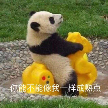 惊蛰节气祝福视频 惊蛰的祝福朋友词语