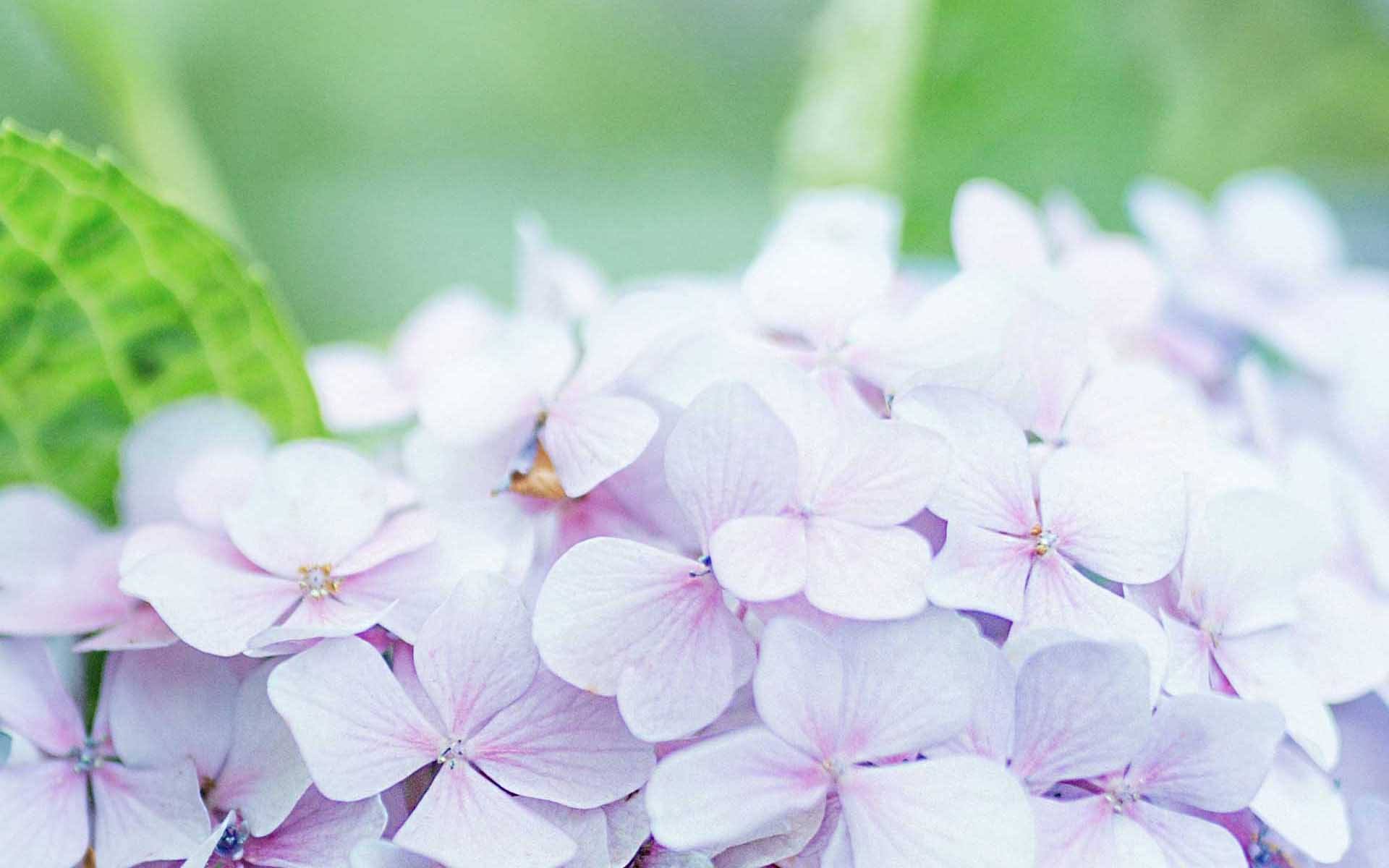 当妇女节遇见龙抬头说说