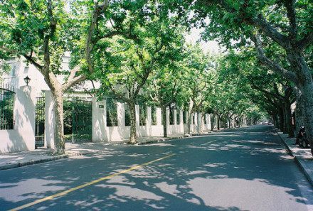 超轻粘土销售口号