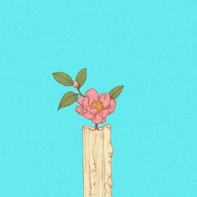 私人菜园品牌推广语