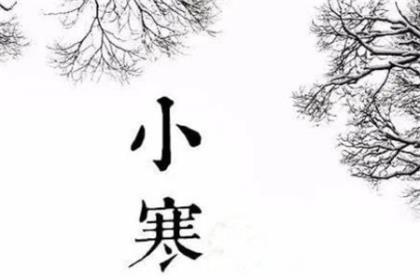 小区物业团队口号