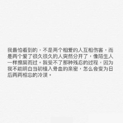 兔肉食品推广语