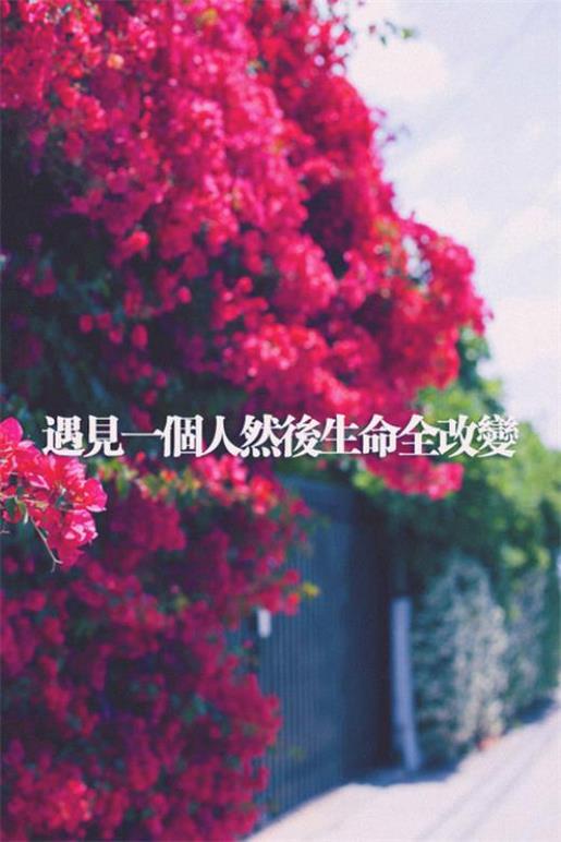 刘德华经典台词:一个人可以输，但是不可以躲