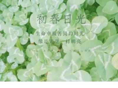 美亚光电15周年庆祝福语