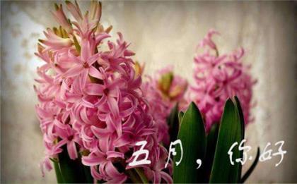 公馆Slogan口号