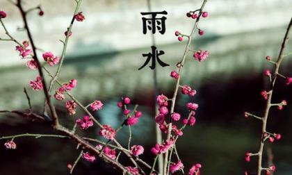 农经网口号