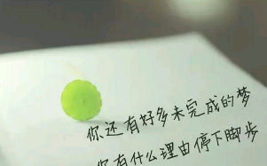 2016乐此全球校友音乐盛典标志和口号
