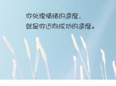 崇明质量精神口号