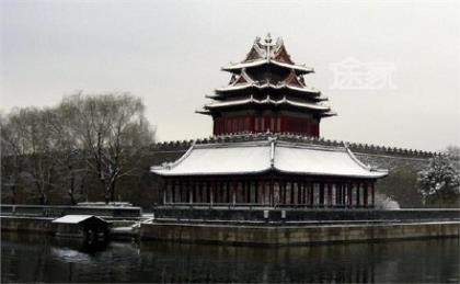 茶油产品口号