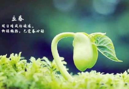 科技公司商务部门口号