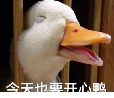 志愿者团队队名口号及形象标识